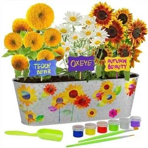 پلانٹ کٹ کے ذریعے کھڑکی