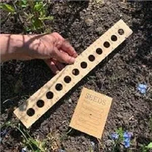 لکڑی کے پودے کا حکمران