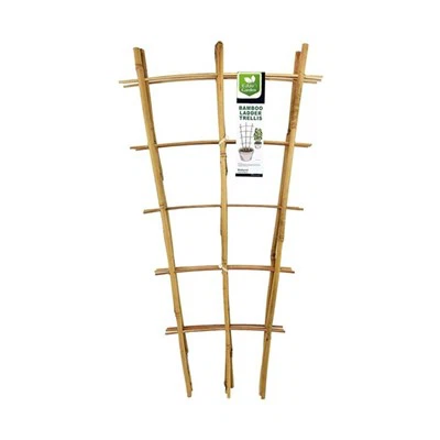 بانس گارڈن ٹریلیس