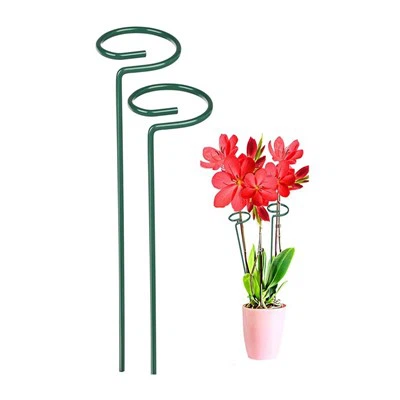 پودوں کے لئے باغ کے داؤ